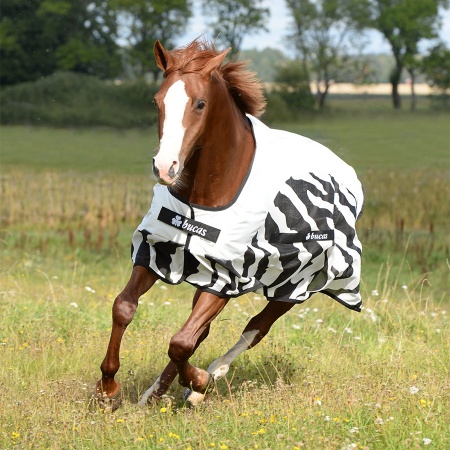 buzz-off-rain-classic-zebra-9425_900