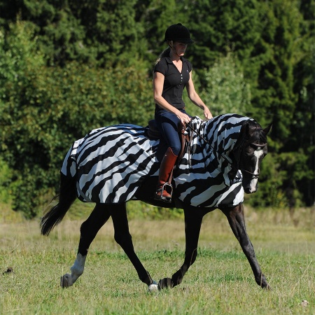 buzz-off-riding-zebra-6968_900_1620761566