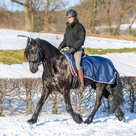 freedom-riding-rug-navy_900_335473554