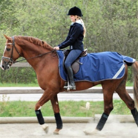 freedom_riding_rug_navy_1a_900