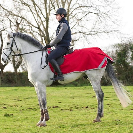 freedom_riding_rug_red_1_900