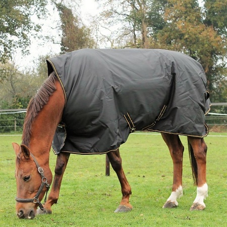irish_turnout_light_high_neck_3_900